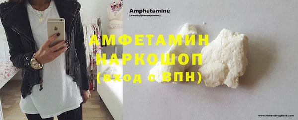 прущие грибы Медвежьегорск