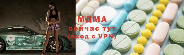 прущие грибы Медвежьегорск