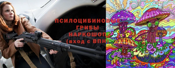 прущие грибы Медвежьегорск