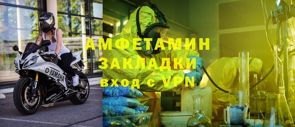 прущие грибы Медвежьегорск
