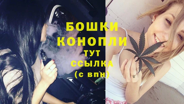 прущие грибы Медвежьегорск