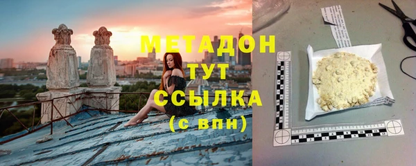 прущие грибы Медвежьегорск