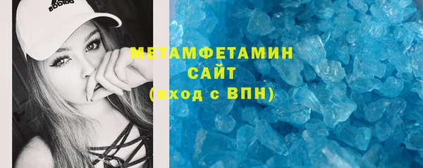 прущие грибы Медвежьегорск