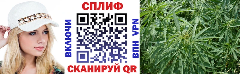 hydra ссылка  Межгорье  Бошки марихуана ГИДРОПОН  наркошоп 